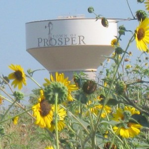 Prosper Texas - A Real Estate Gem in the Making